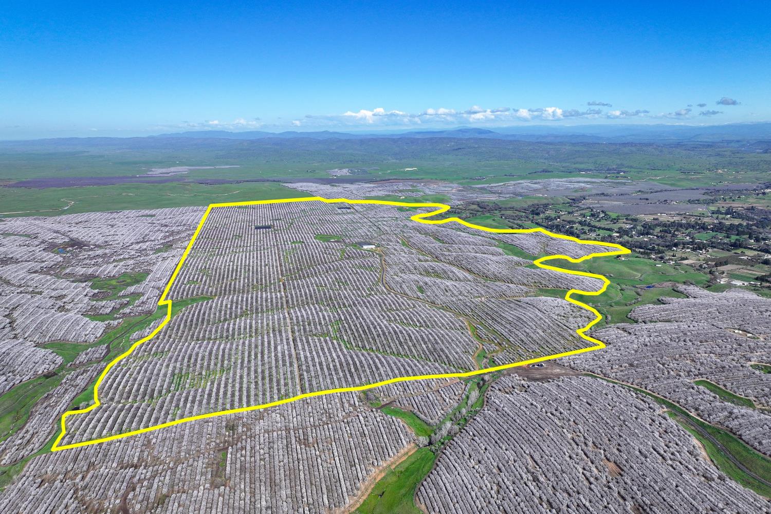 a view of a backyard with an ocean view