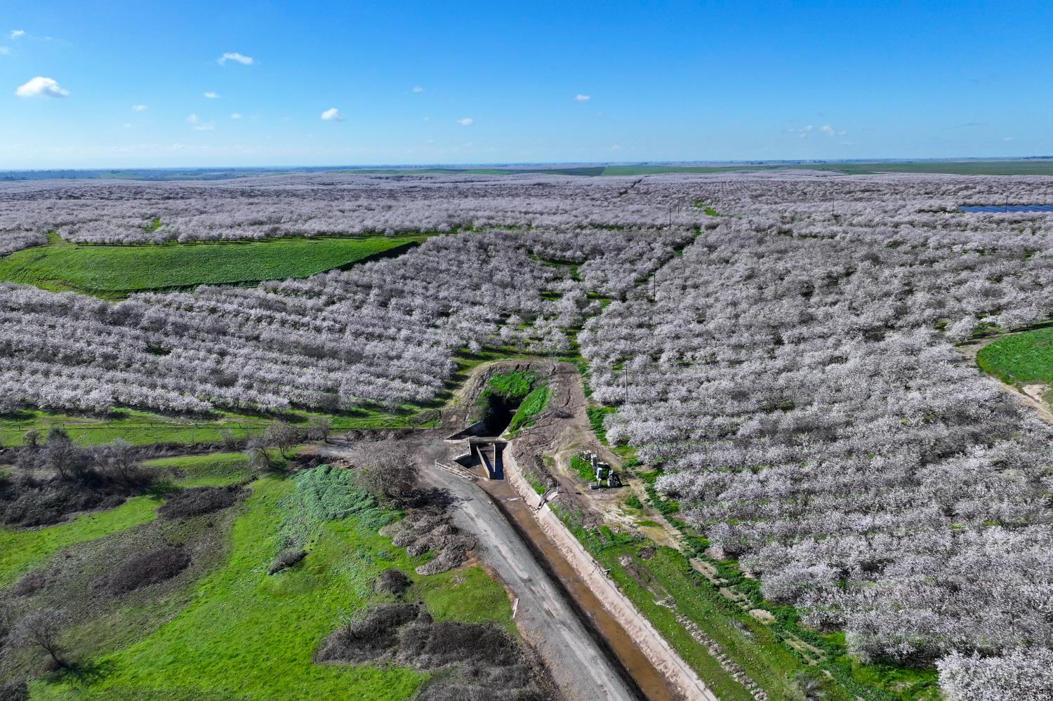 0 Horseshoe Road Oakdale, CA 95361 - Photo 11 of 24 a view of a yard with a garden