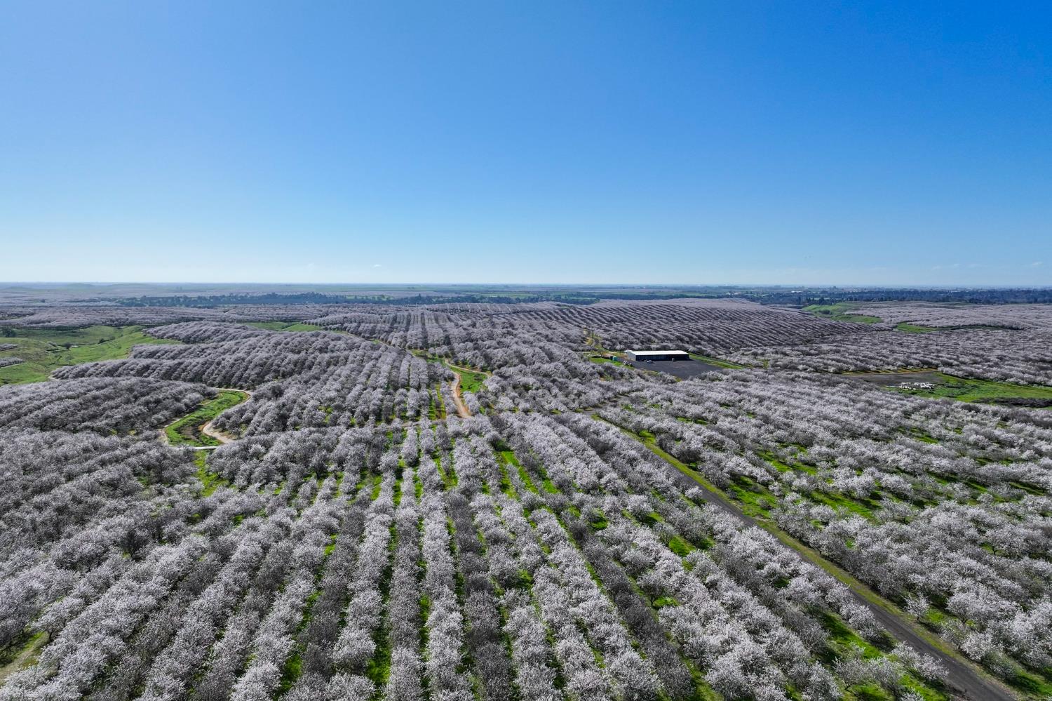 0 Horseshoe Road Oakdale, CA 95361 - Photo 12 of 24 an aerial view of multiple house