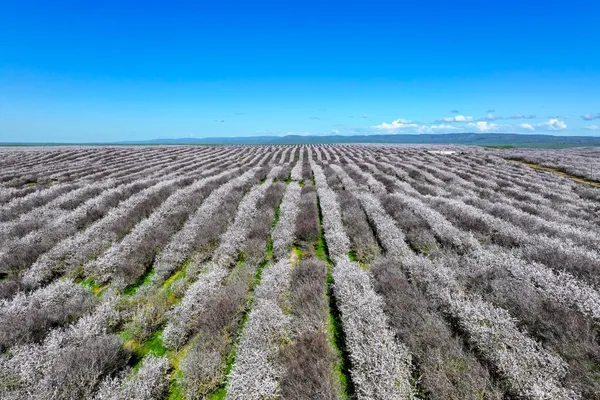 a view of an outdoor space and wooden floor
