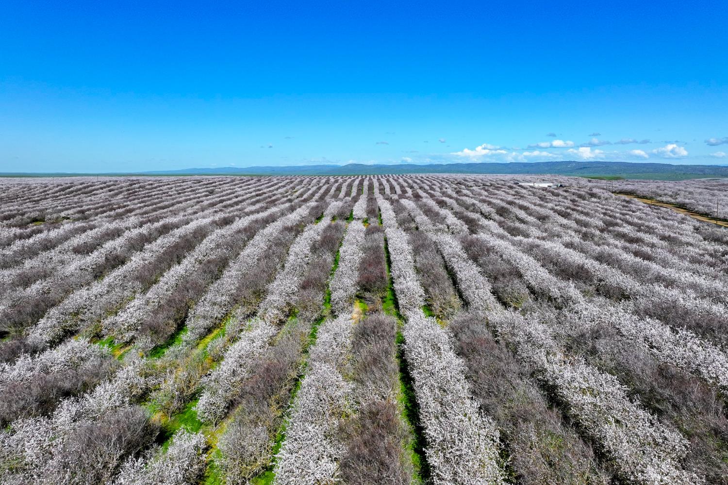 0 Horseshoe Road Oakdale, CA 95361 - Photo 2 of 24 a view of an outdoor space and wooden floor