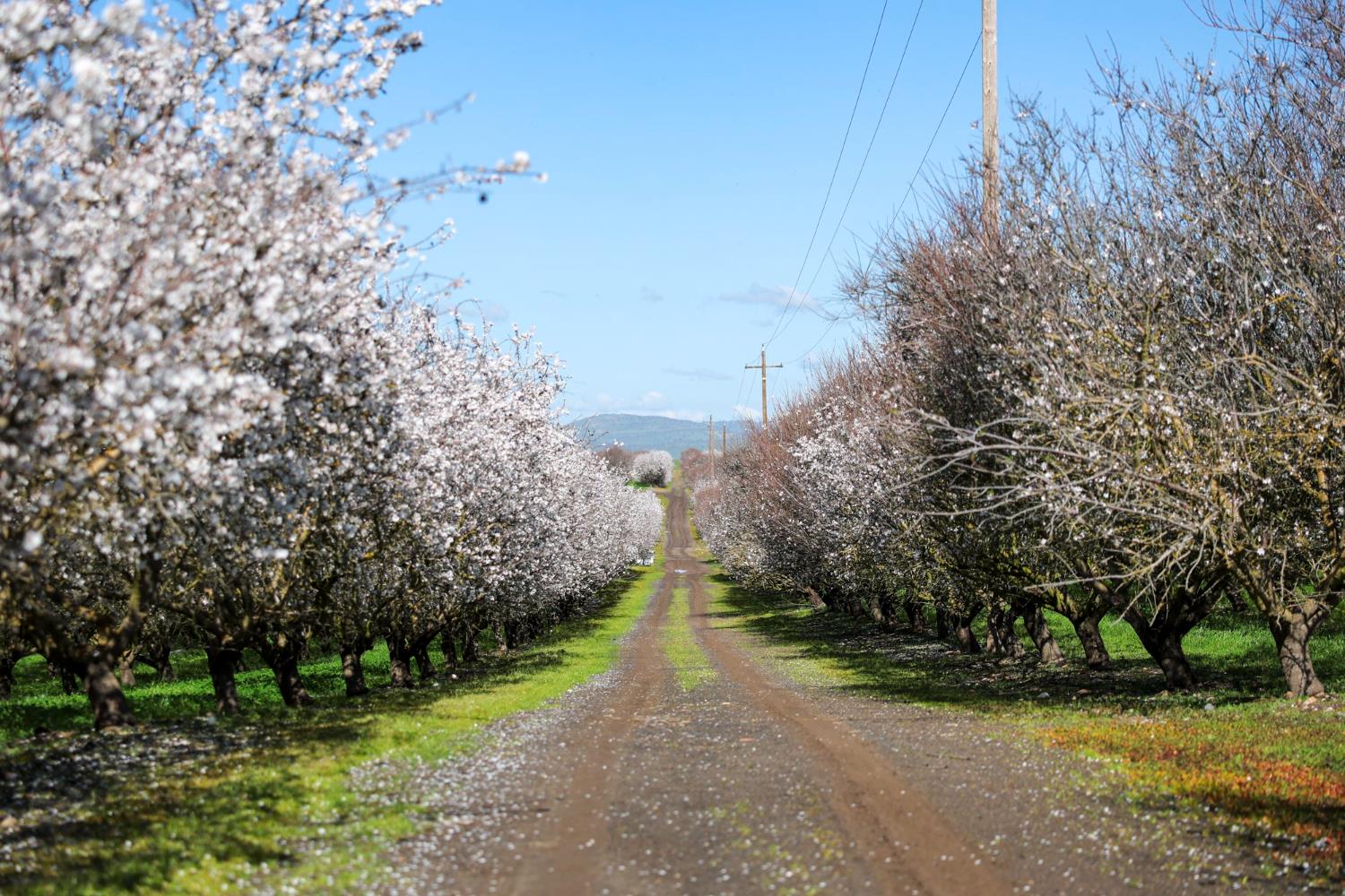 0 Horseshoe Road Oakdale, CA 95361 - Photo 21 of 24