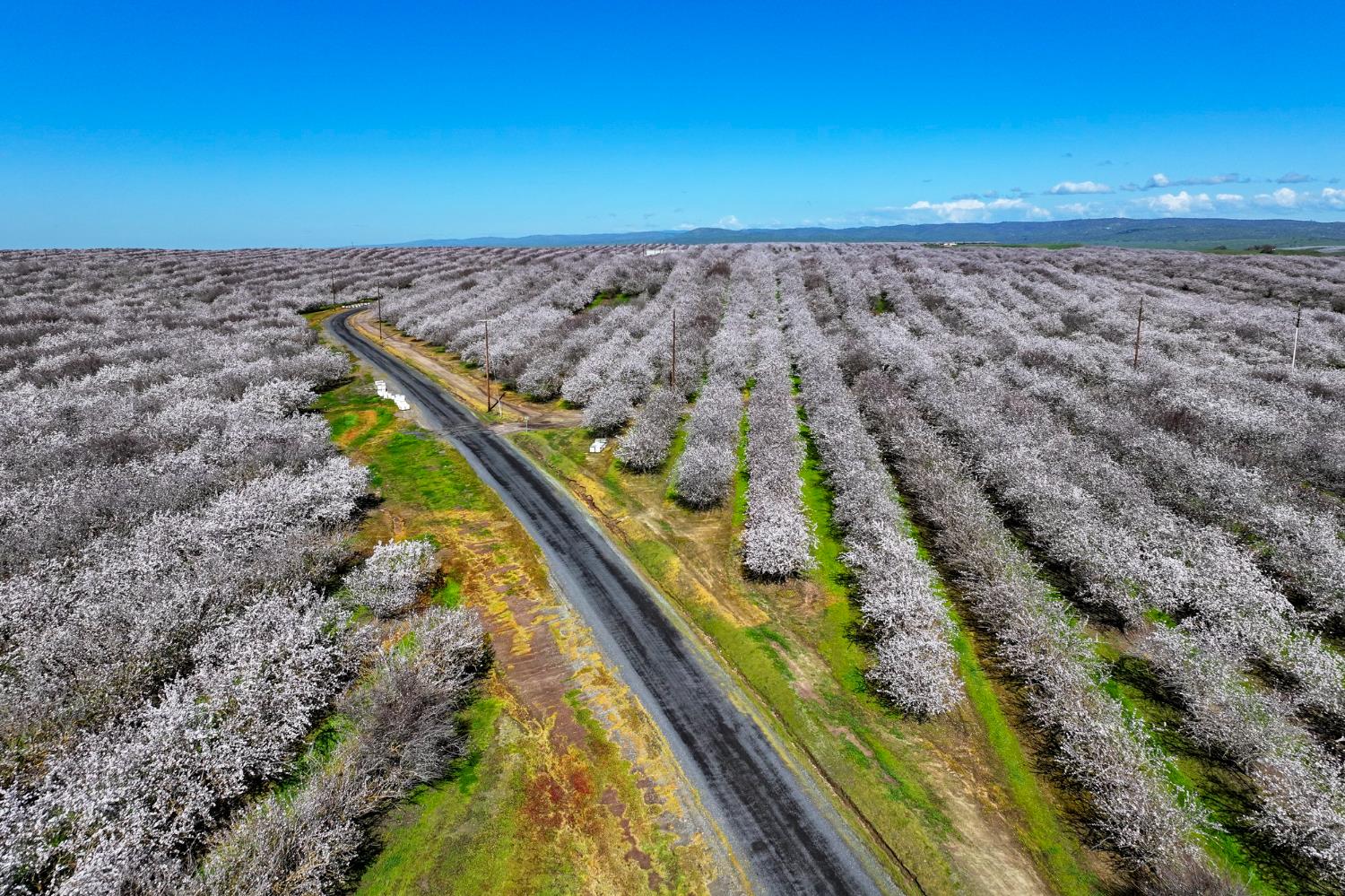 0 Horseshoe Road Oakdale, CA 95361 - Photo 3 of 24 a view of a yard