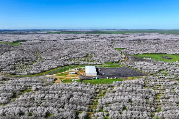 a view of lot of trees