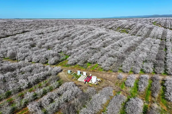 a view of a yard with a garden