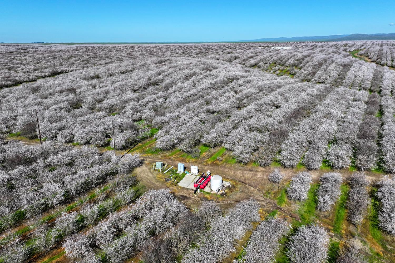0 Horseshoe Road Oakdale, CA 95361 - Photo 10 of 24 a view of lot of trees