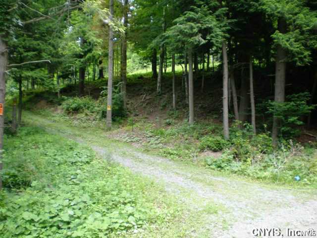 2555 Sherman Road Otisco, NY 13110 - Photo 1 of 1 Exterior Front Stone driveway