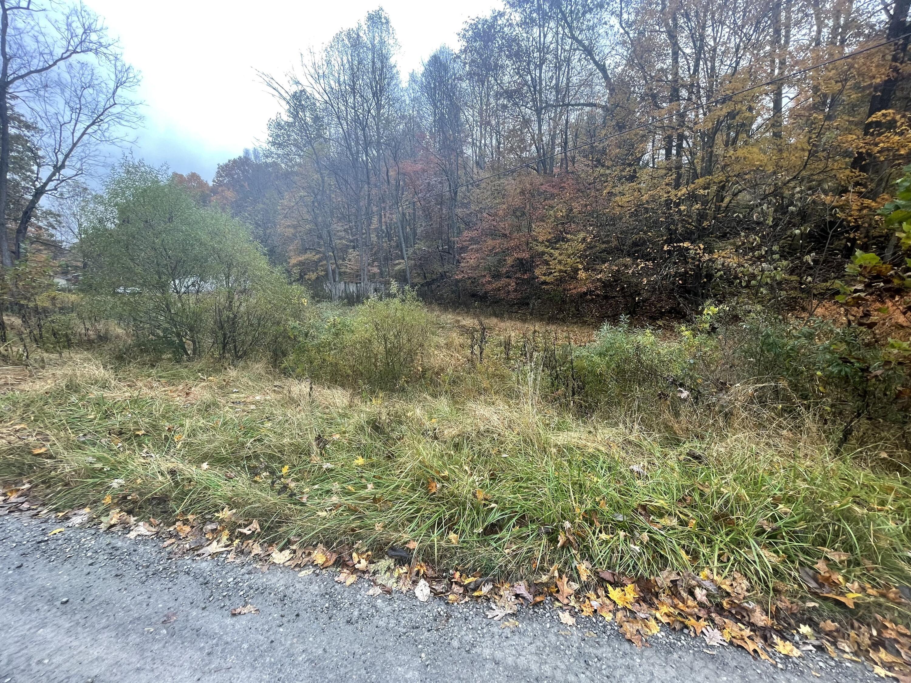 100 Drakes Run Road Mannington, WV 26582 - Photo 5 of 10 Gallery Image 5