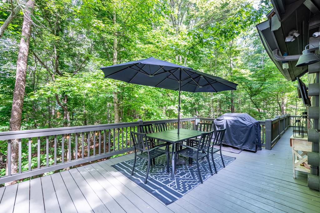 30 Maxwell Lane Blue Ridge, GA 30513 - Photo 33 of 49