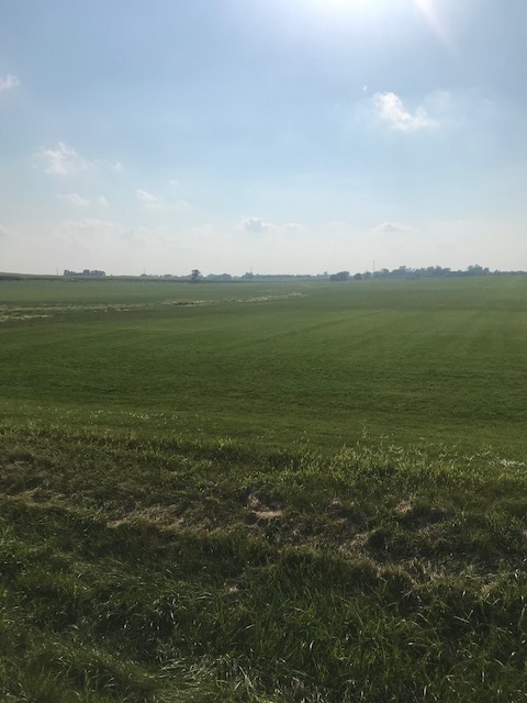 a view of an ocean from a yard