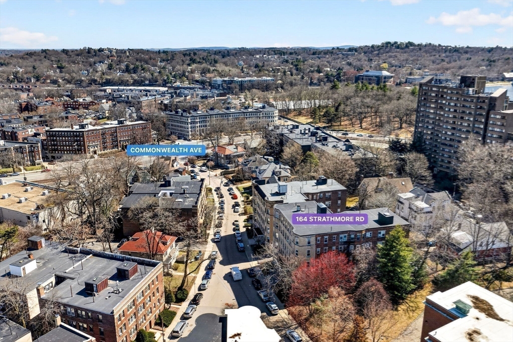 164 Strathmore Road, Unit 4 Boston, MA 02135 - Photo 31 of 31