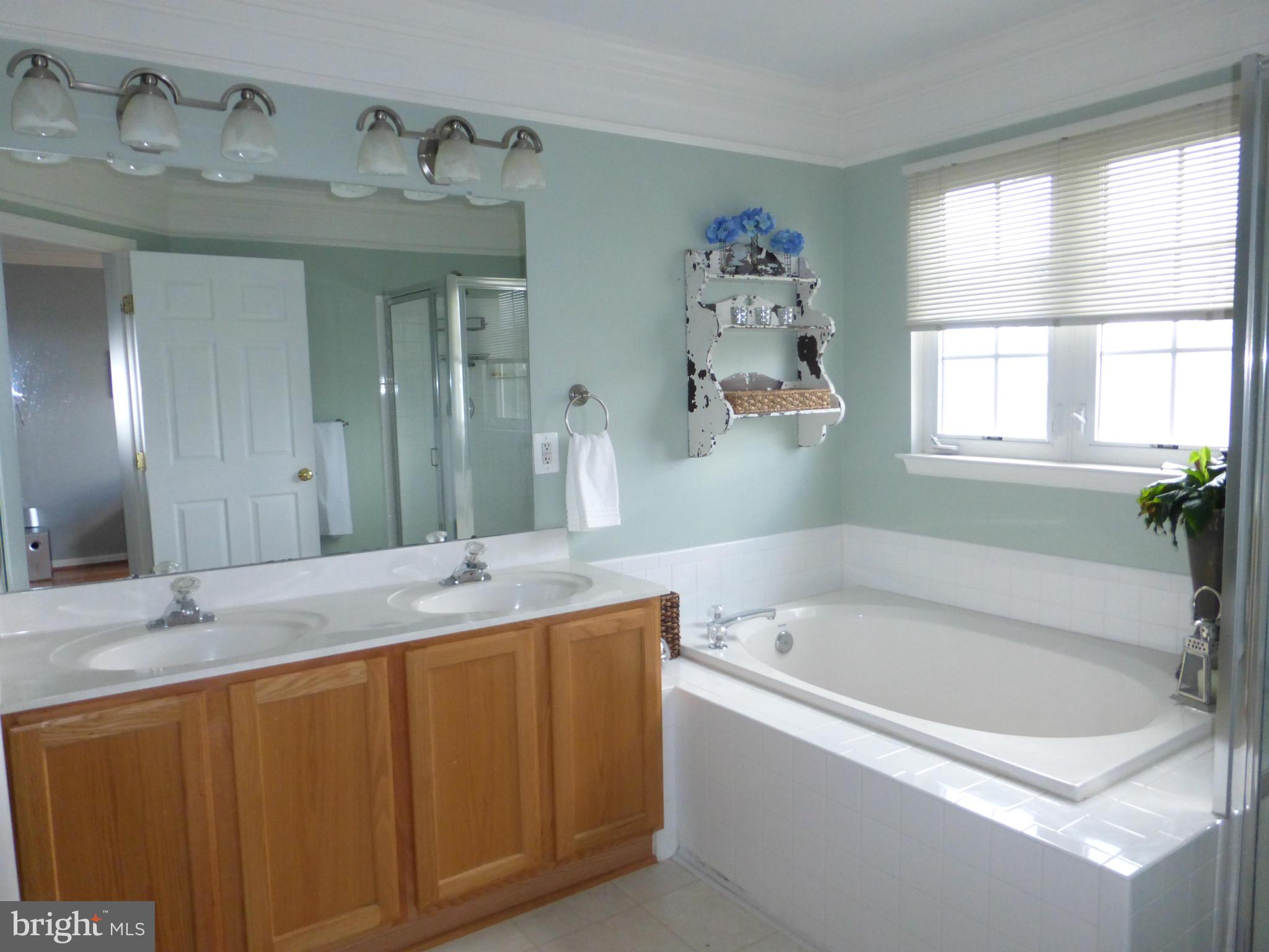 3812 Addison Woods Road Frederick, MD 21704 - Photo 19 of 30 Bath (Master)