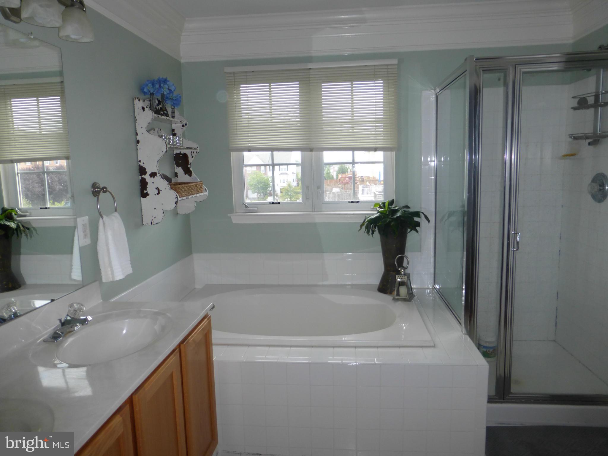3812 Addison Woods Road Frederick, MD 21704 - Photo 20 of 30 Bath (Master)