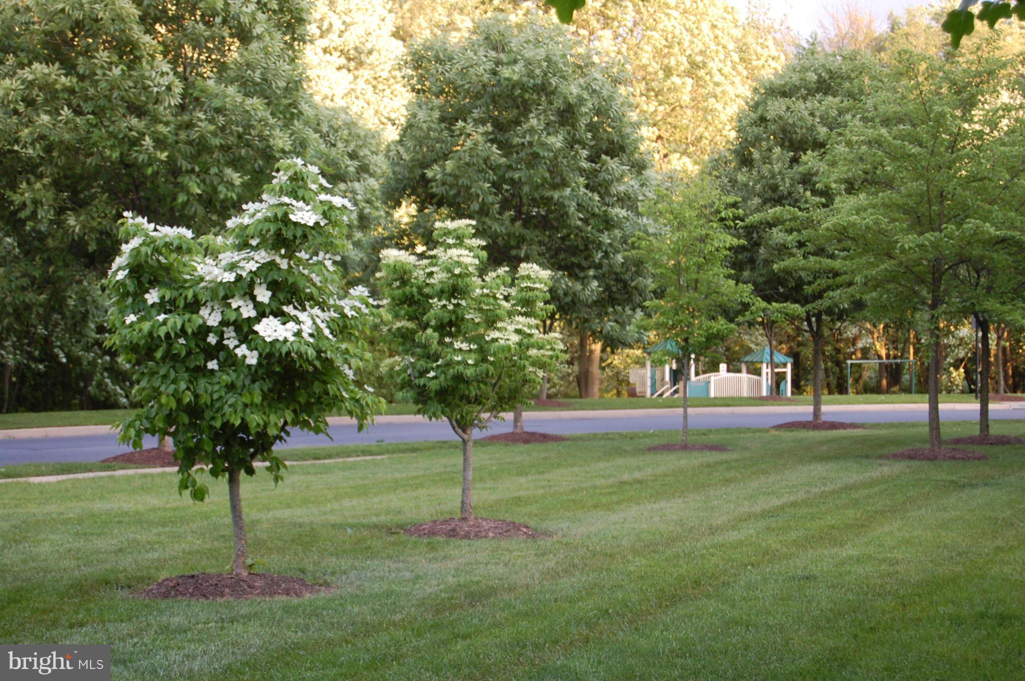 3812 Addison Woods Road Frederick, MD 21704 - Photo 30 of 30 View of Park Across the Street