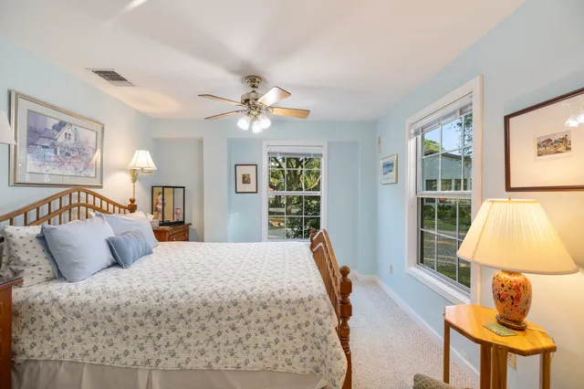 a view of a garden with pathway