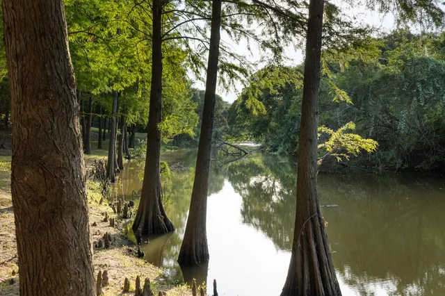 $1,500,000 | 4102 FM 1862, Palacios, TX 77465