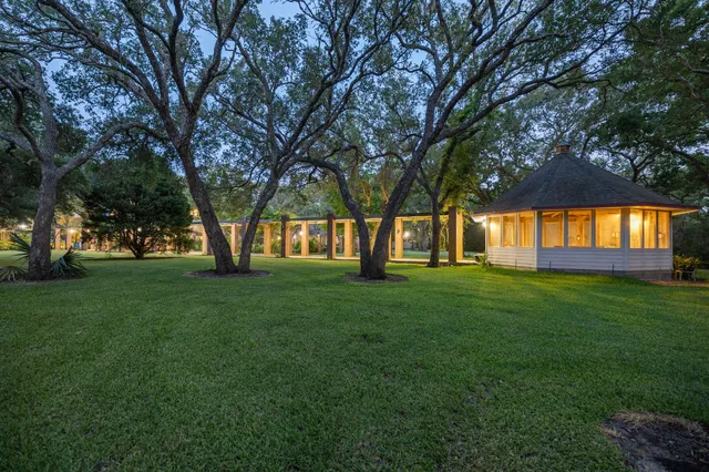 a view of a yard with a tree