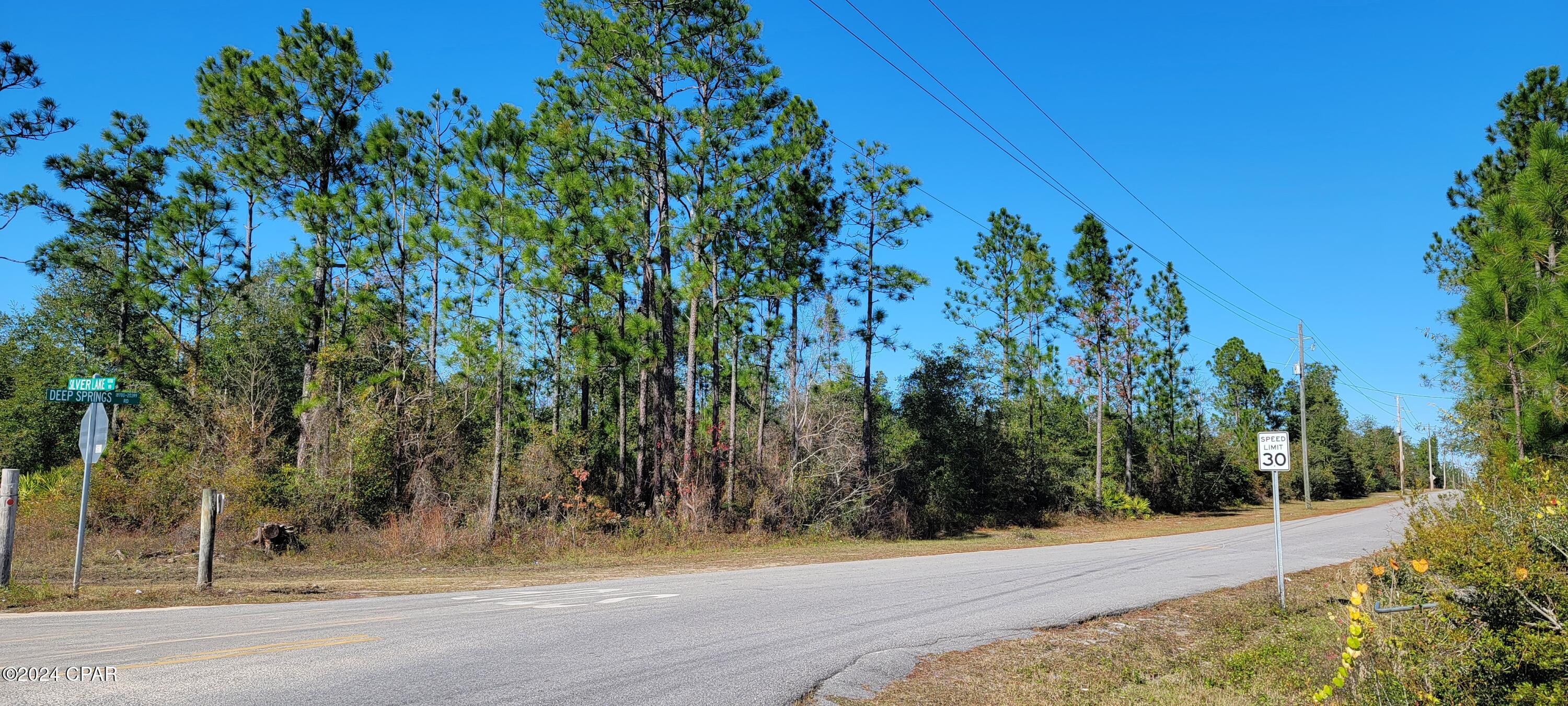 0 Deep Springs Road Fountain, FL 32438 - Photo 1 of 10 Gallery Image 1