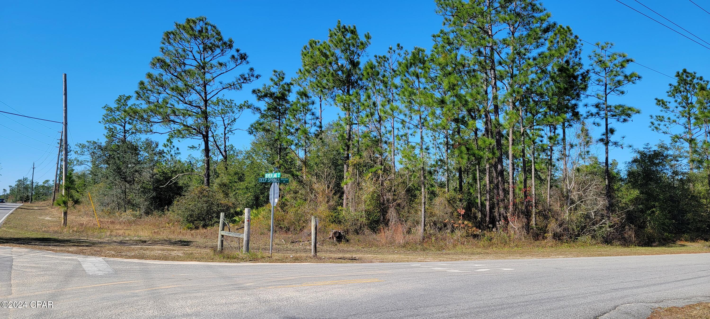 0 Deep Springs Road Fountain, FL 32438 - Photo 2 of 10 Gallery Image 2