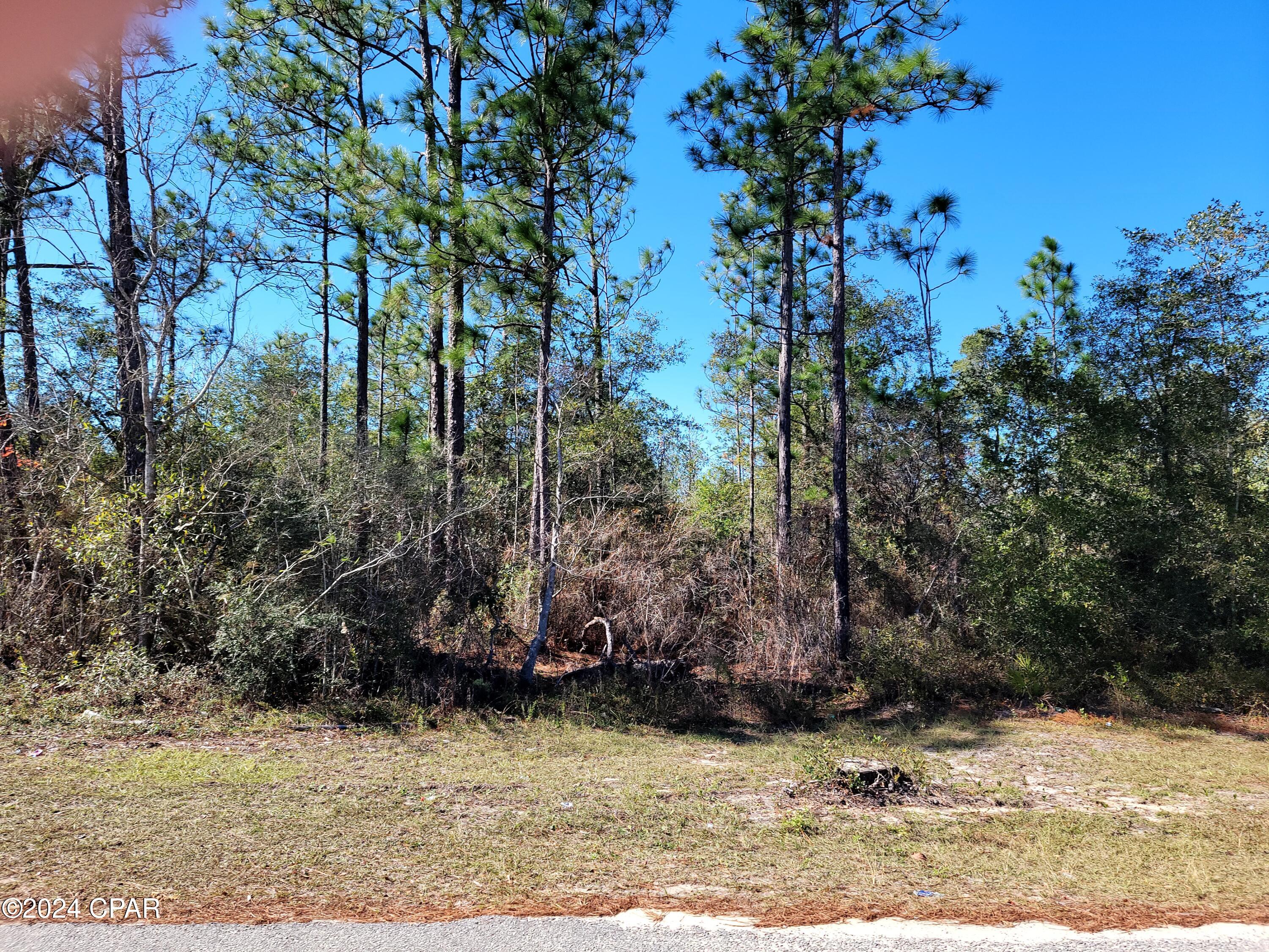 0 Deep Springs Road Fountain, FL 32438 - Photo 3 of 10 Gallery Image 3