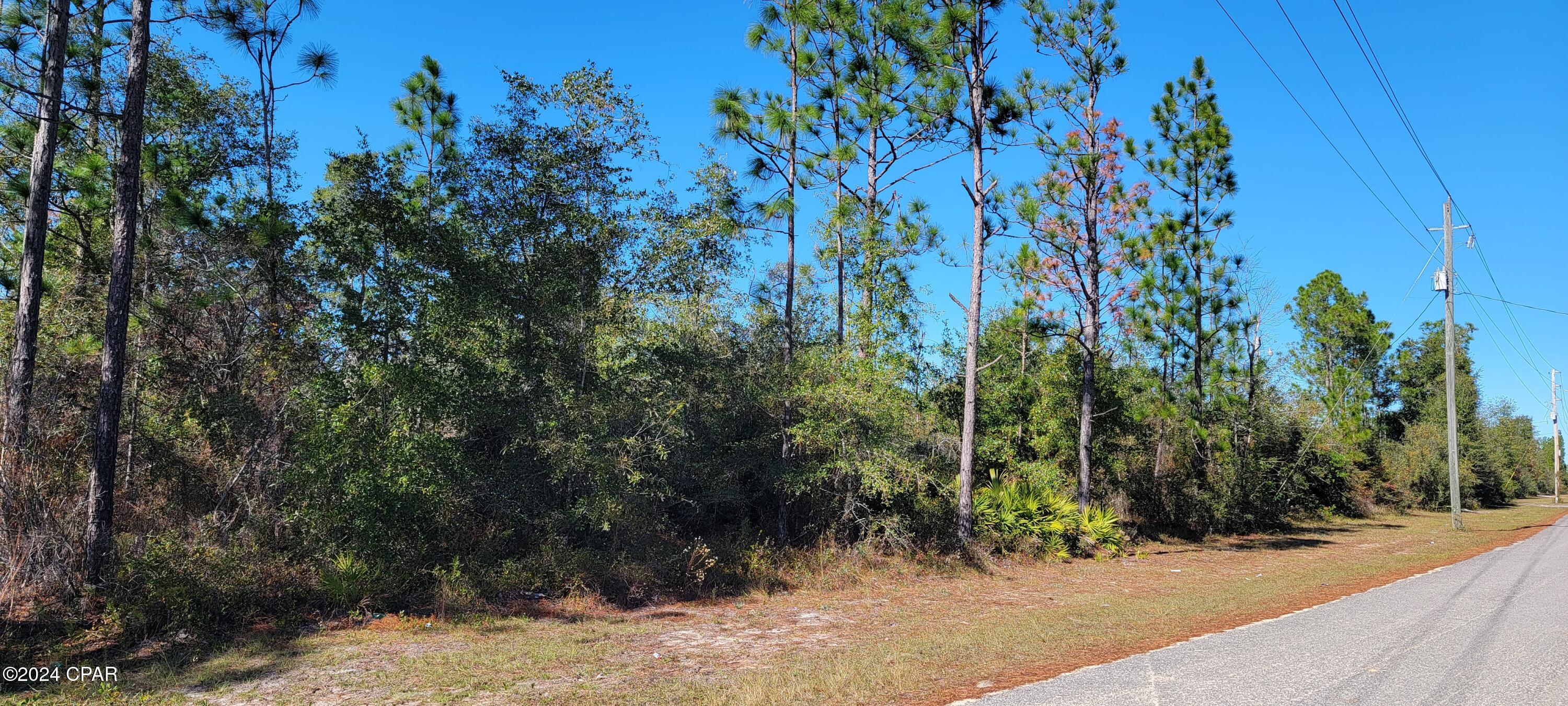 0 Deep Springs Road Fountain, FL 32438 - Photo 4 of 10 Gallery Image 4