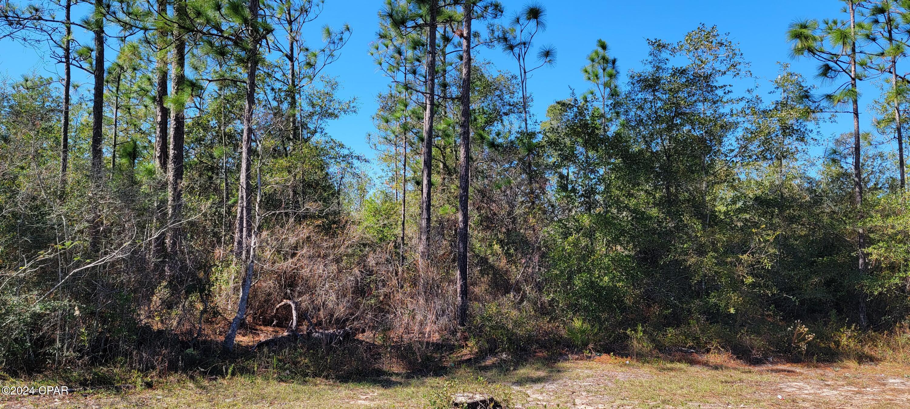 0 Deep Springs Road Fountain, FL 32438 - Photo 5 of 10 Gallery Image 5