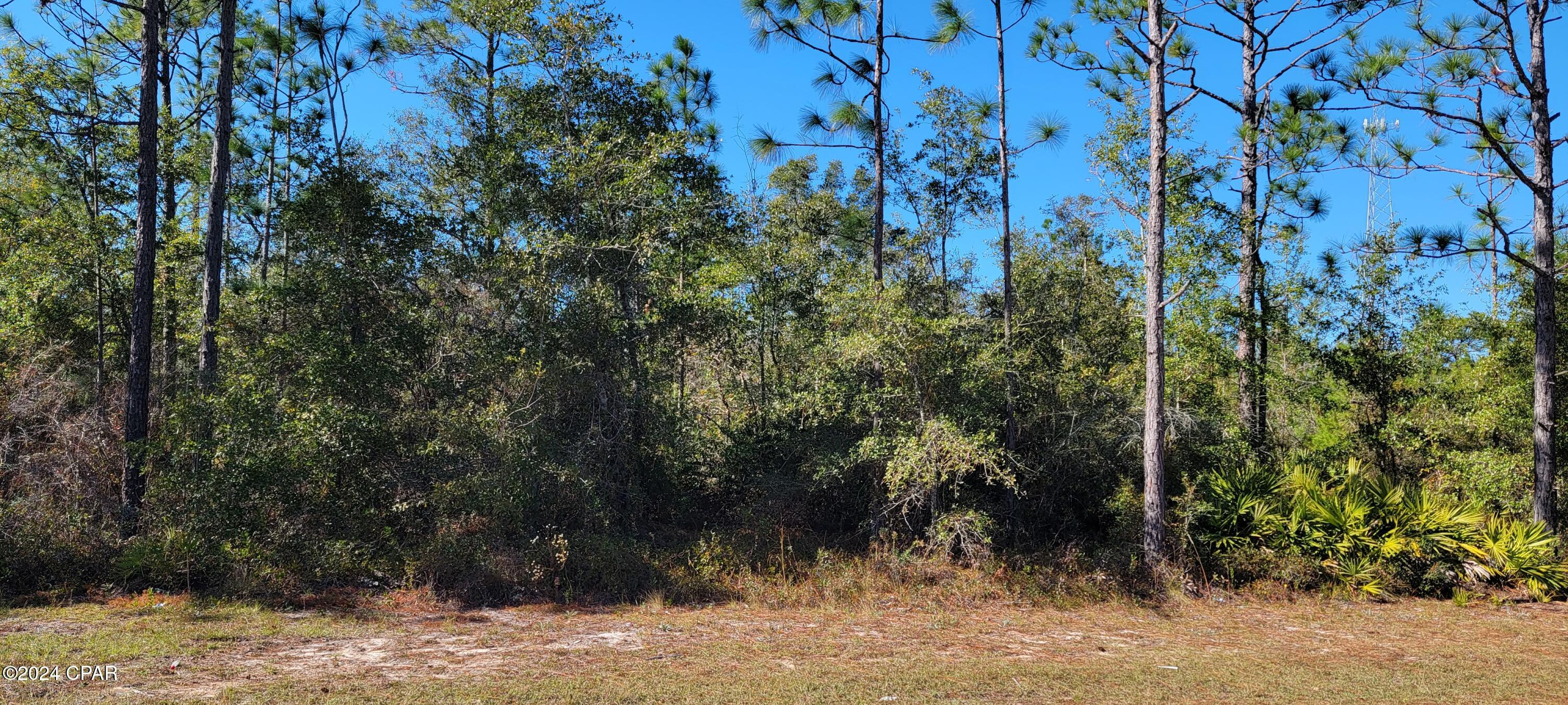 0 Deep Springs Road Fountain, FL 32438 - Photo 7 of 10 Gallery Image 7