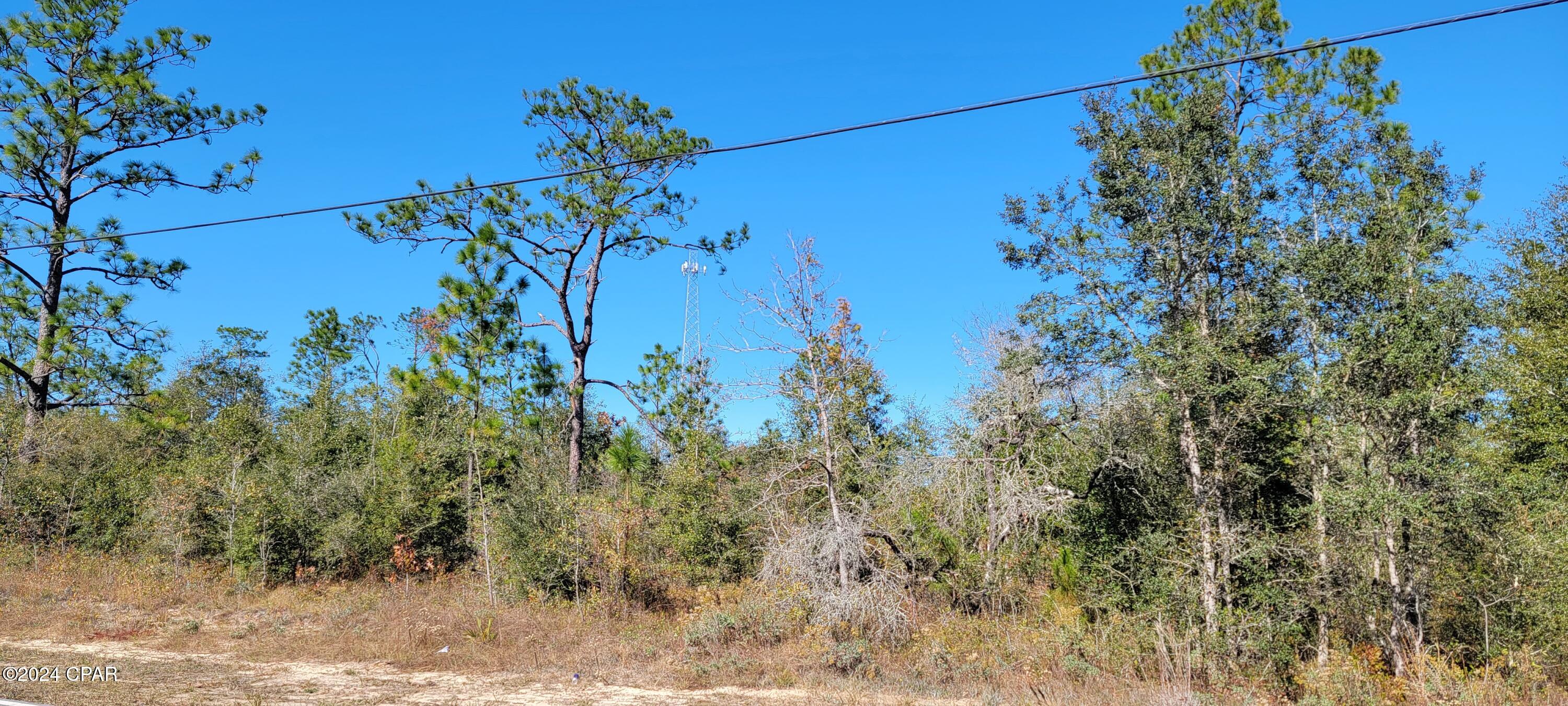 0 Deep Springs Road Fountain, FL 32438 - Photo 8 of 10 Gallery Image 8