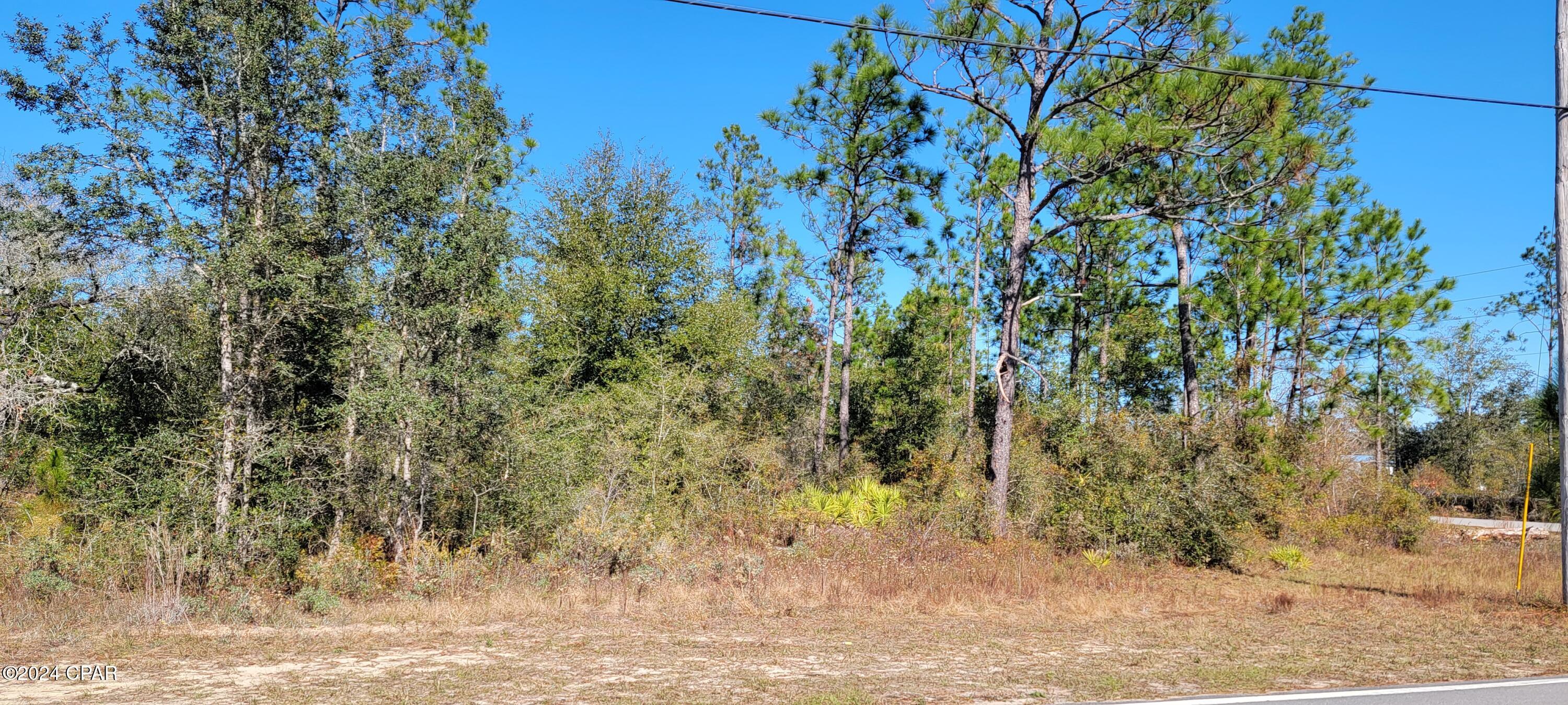 0 Deep Springs Road Fountain, FL 32438 - Photo 9 of 10 Gallery Image 9
