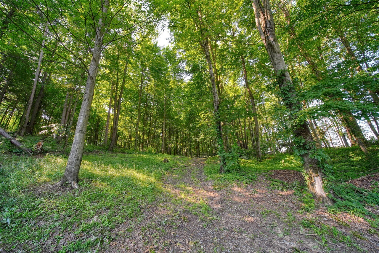 6823 Folks Road Horton, MI 49246 - Photo 63 of 99