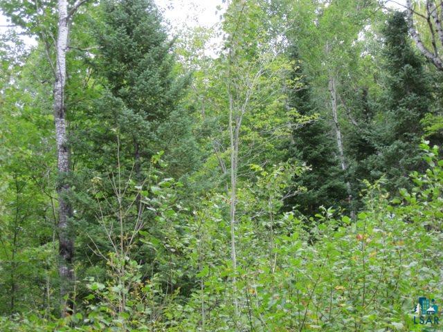 26900 McCutcheon Road Bayfield, WI 54814 - Photo 17 of 23 Gallery Image 17