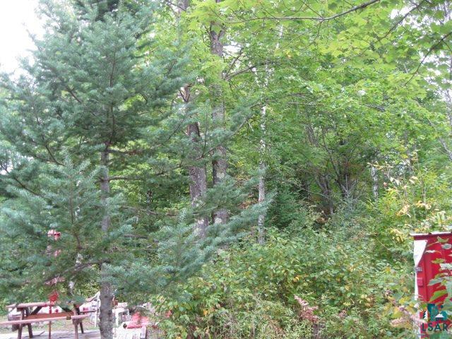 26900 McCutcheon Road Bayfield, WI 54814 - Photo 18 of 23 Gallery Image 18