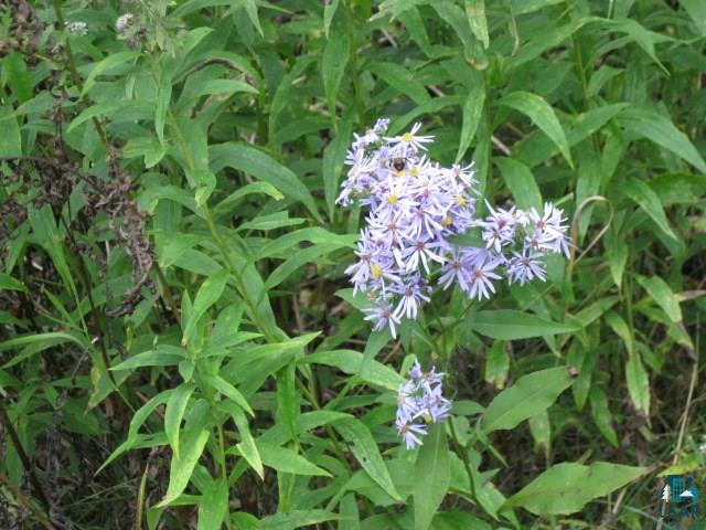 26900 McCutcheon Road Bayfield, WI 54814 - Photo 20 of 23 Gallery Image 20