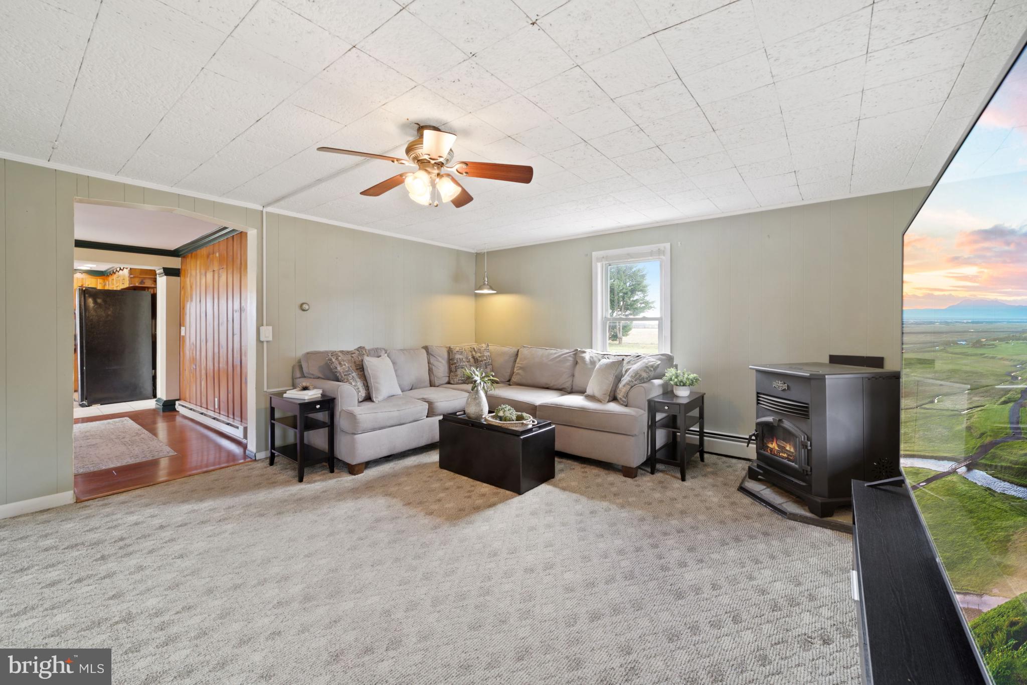 24531 Bethesda Road Georgetown, DE 19947 - Photo 12 of 37 Living Room