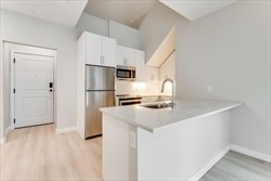 163 Chestnut Street, Unit 302 Chelsea, MA 02150 - Photo 3 of 13