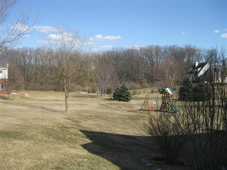 10261 Timber Ridge Drive Milan, MI 48160 - Photo 4 of 52 Gentle sloping backyard