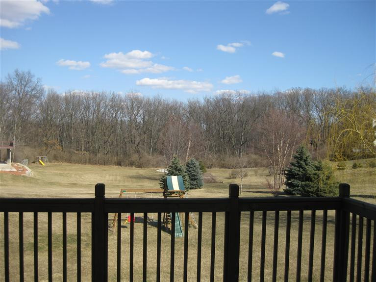 10261 Timber Ridge Drive Milan, MI 48160 - Photo 6 of 52 Beautiful view of the woods