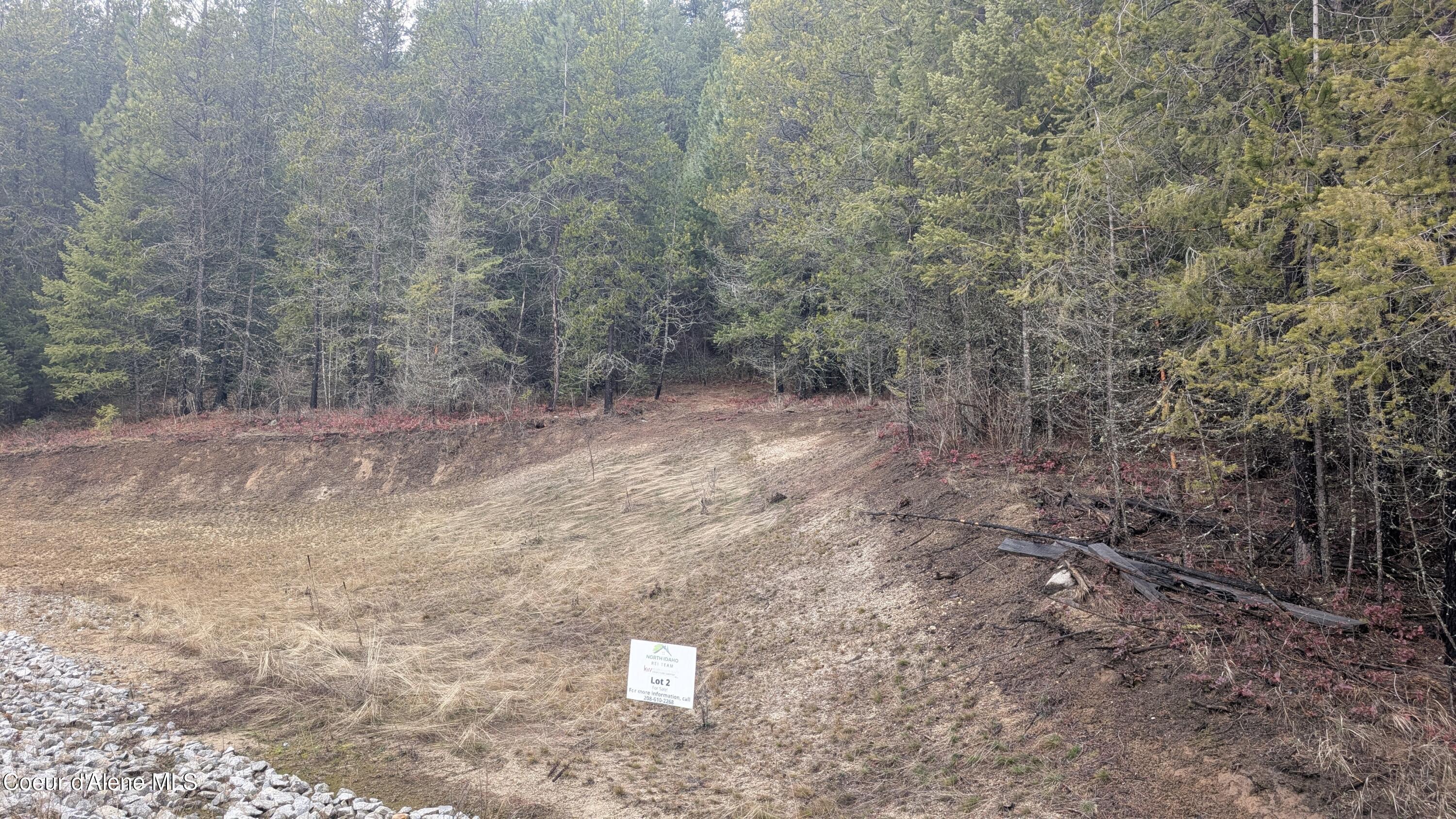 PXL_20260305_164630747