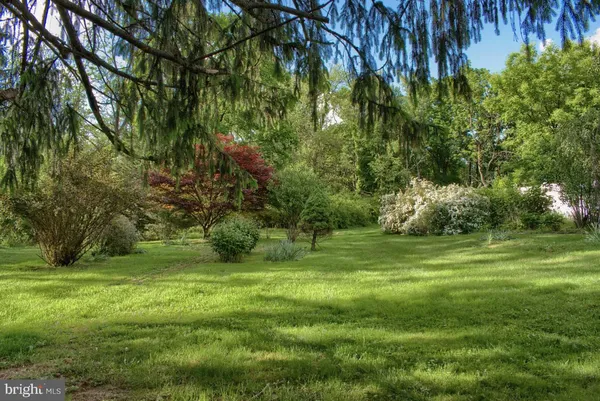 a view of a grassy field with trees