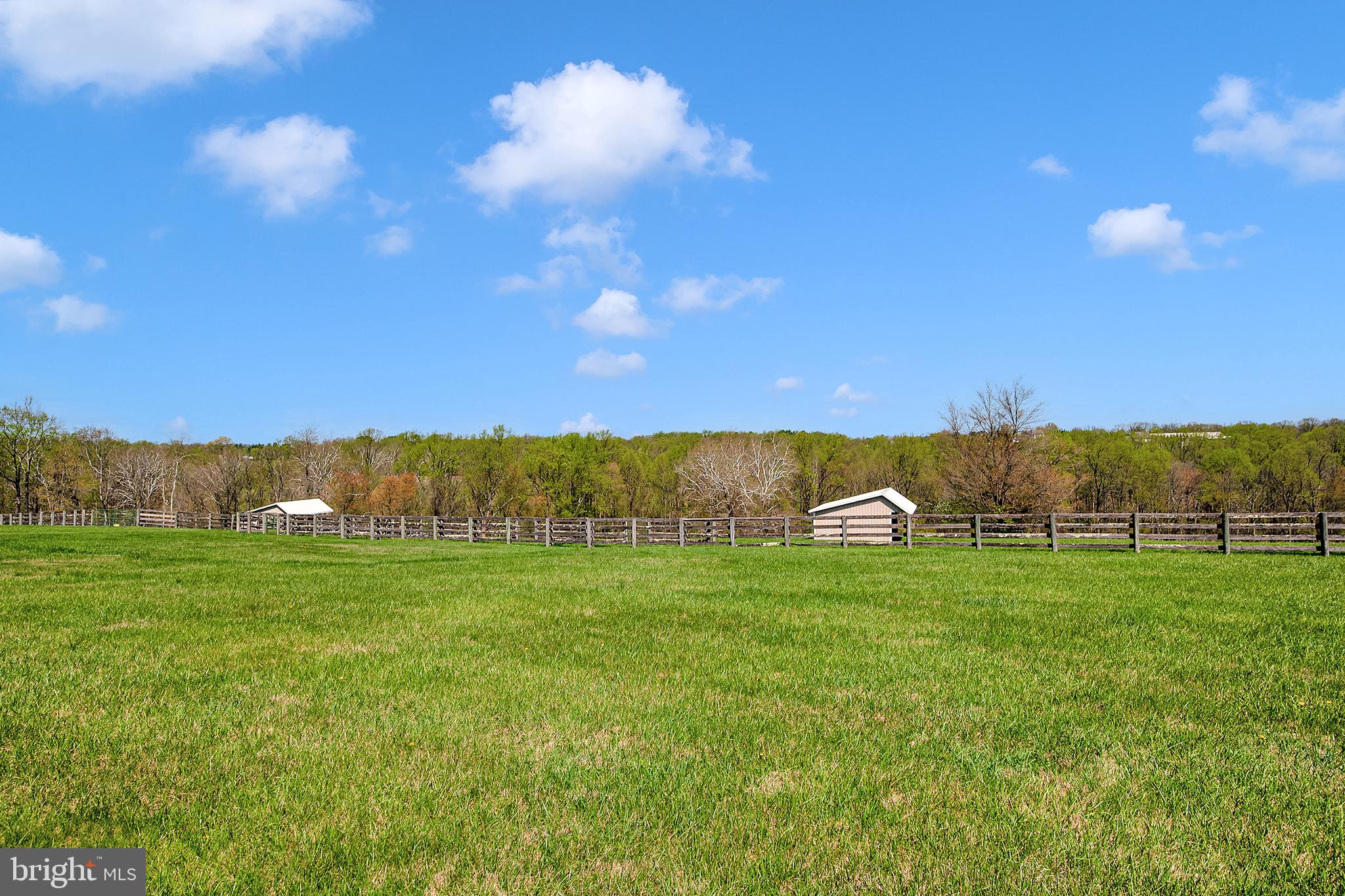 26100 Mullinix Mill Road Mount Airy, MD 21771 - Photo 98 of 99 Expansive green fields under blue skies.