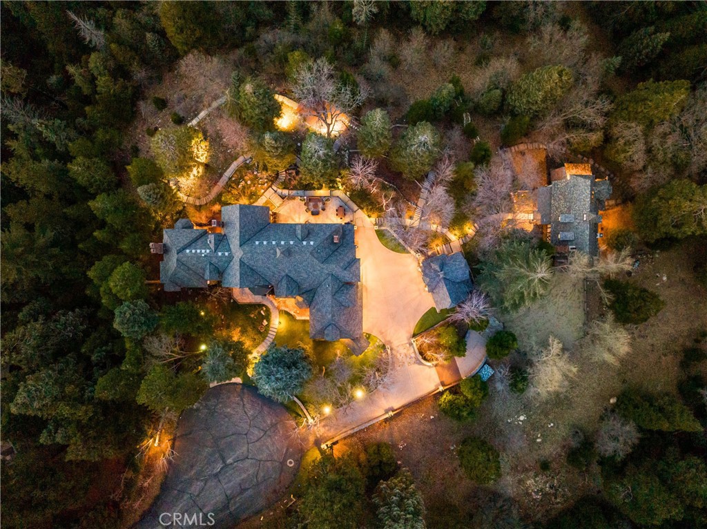 29162 Bald Eagle Ridge Road Lake Arrowhead, CA 92352 - Photo 67 of 69