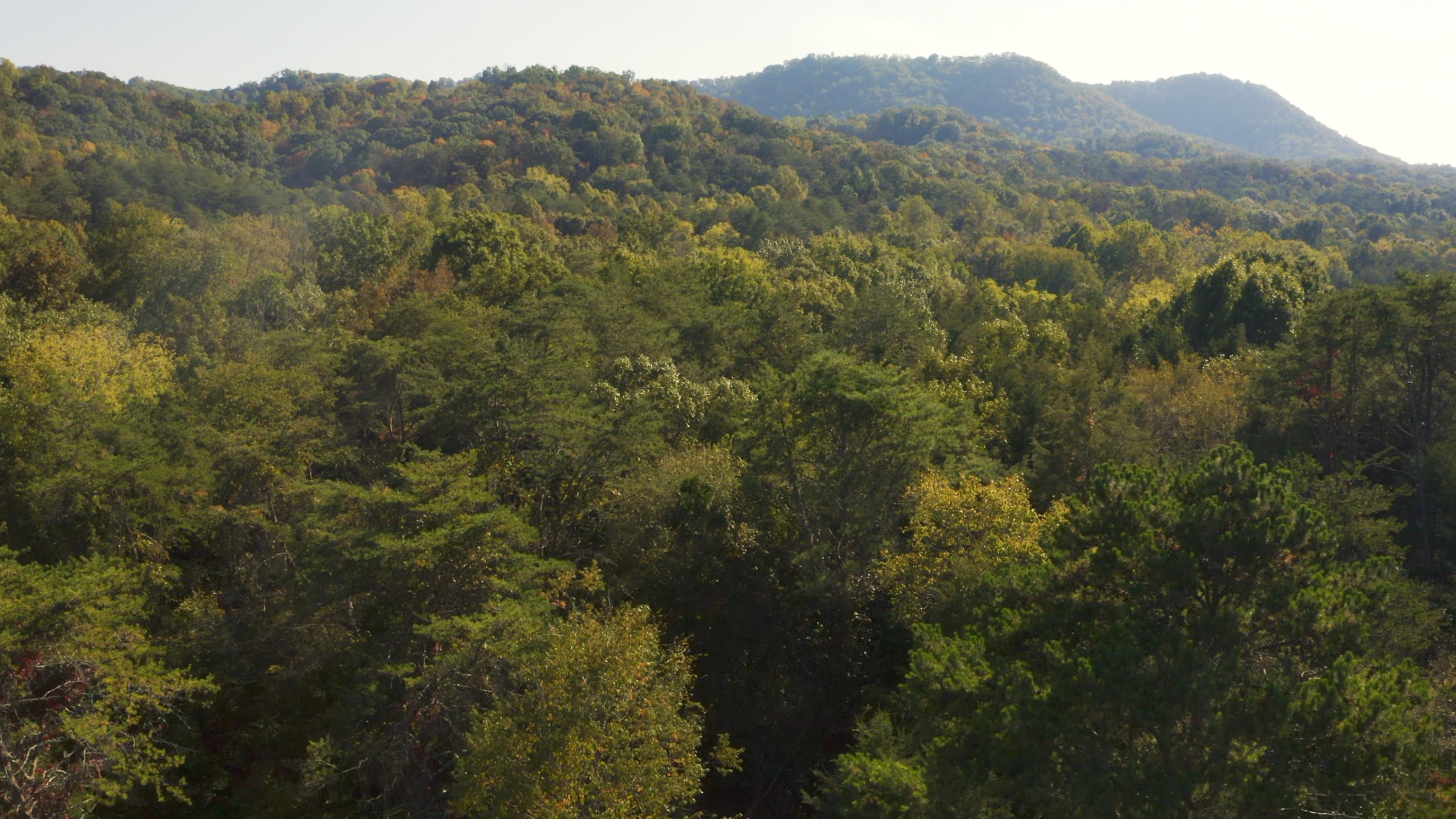 0 Cherry Rutledge, TN 37861 - Photo 19 of 29 Untitled_1.7.1