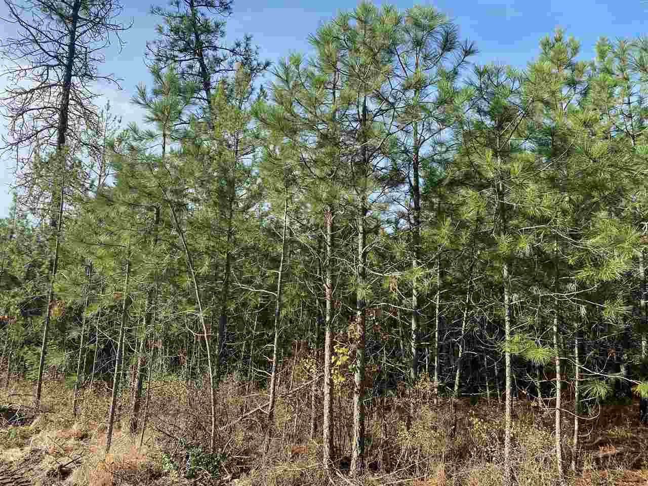 Kna Powers Road Loon Lake, WA 99148 - Photo 3 of 6 Gallery Image 3