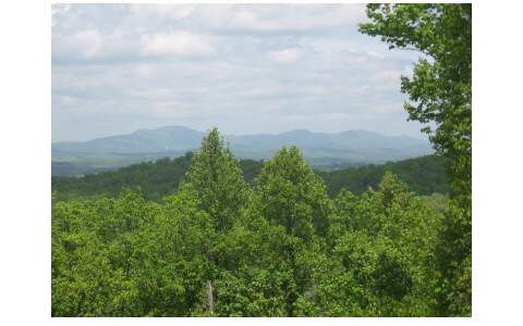 524 Timber Ridge Blue Ridge, GA 30513 - Photo 1 of 1 a view of a green field with lots of bushes