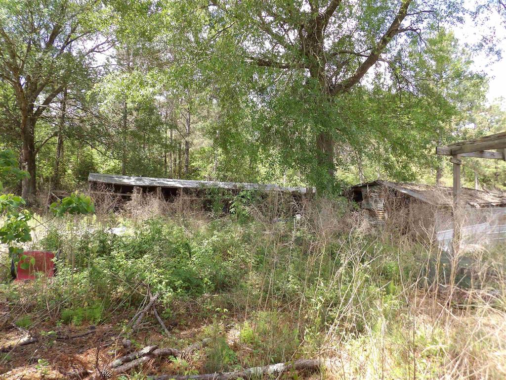 216 West Willow Branch Road Deridder, LA 70634 - Photo 17 of 20