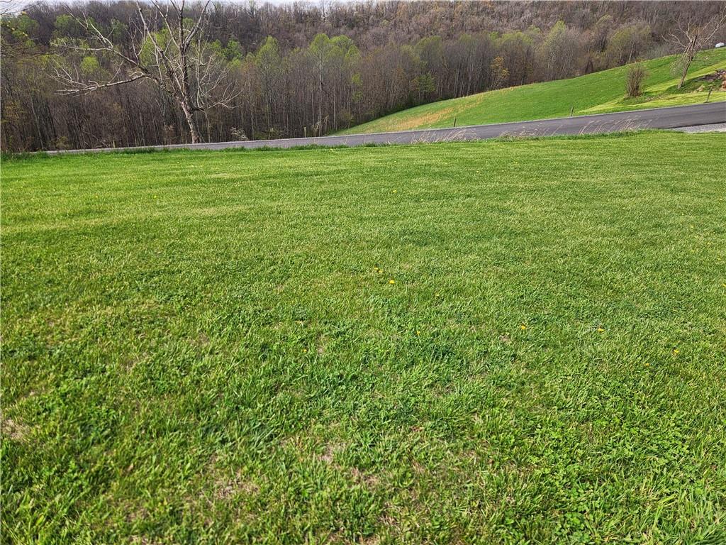 246 Haines Ridge Road Mount Morris, PA 15349 - Photo 3 of 5