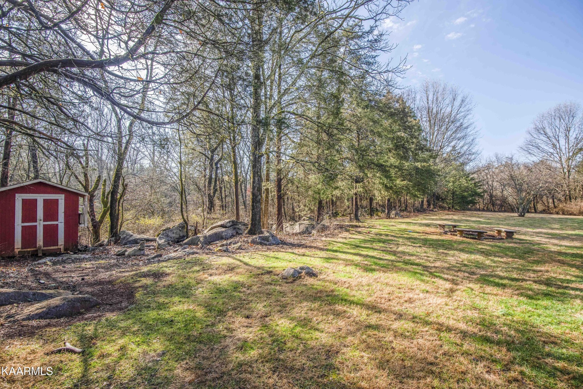 8400 East Emory Road Corryton, TN 37721 - Photo 54 of 60 a view of a yard with an trees