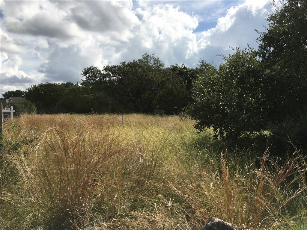 1507 Red Fox Road Austin, TX 78734 - Photo 1 of 1 Gallery Image 1