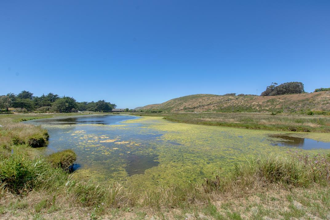 101 Shell Road, Unit 51 Watsonville, CA 95076 - Photo 18 of 24 Gallery Image 18