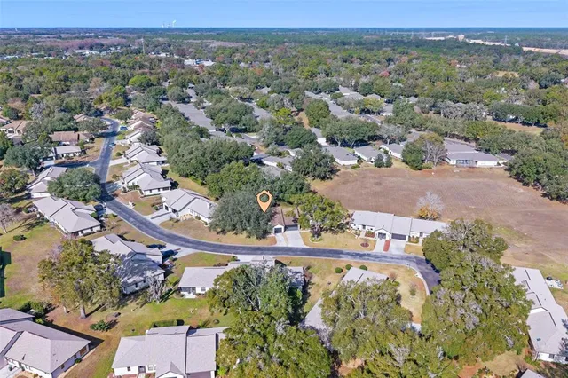 a view of a garden with trees